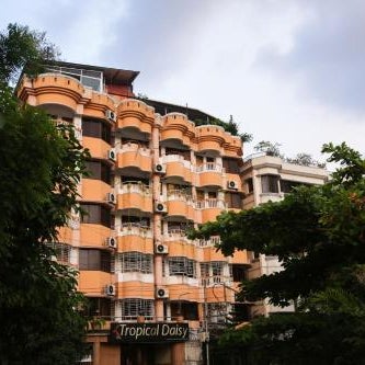 Hotel Tropical Daisy Thumbnail