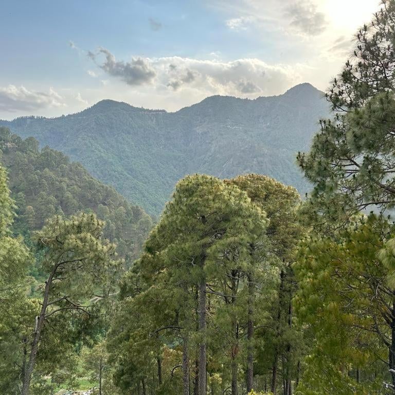 Bhandari Cottages