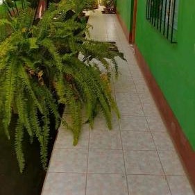Cocos Hostel Thumbnail