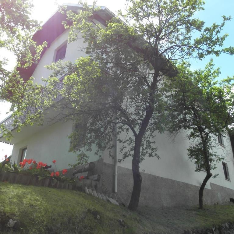 Pr' Hribar Thumbnail