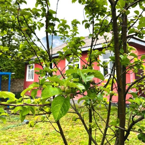 Secret Garden Guest House Thumbnail