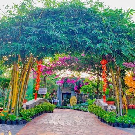 Thanh Dat Resort Thumbnail