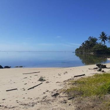 Bungalow Moorea à 50 mètres du lagon