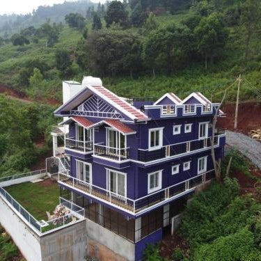 BLUE MOUNTAIN BEAUTY 