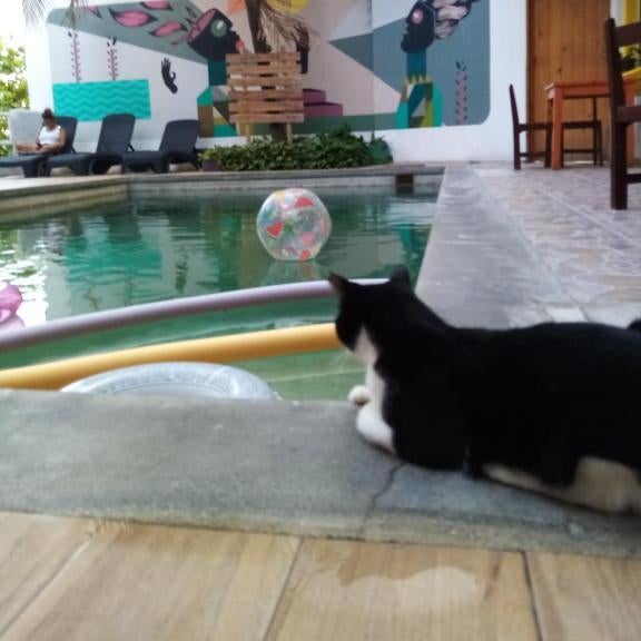 Balu Hotel Thumbnail