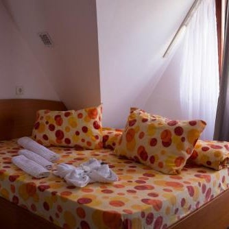 Hotel Pescarus Port Bicaz