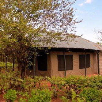 Eco mara forest camp