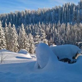 Maatilamatkailu Jänisvaara