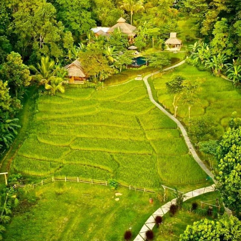 Fern Resort
