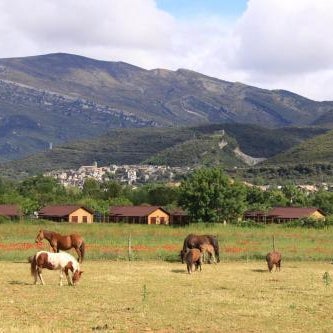 wecamp Pirineos
