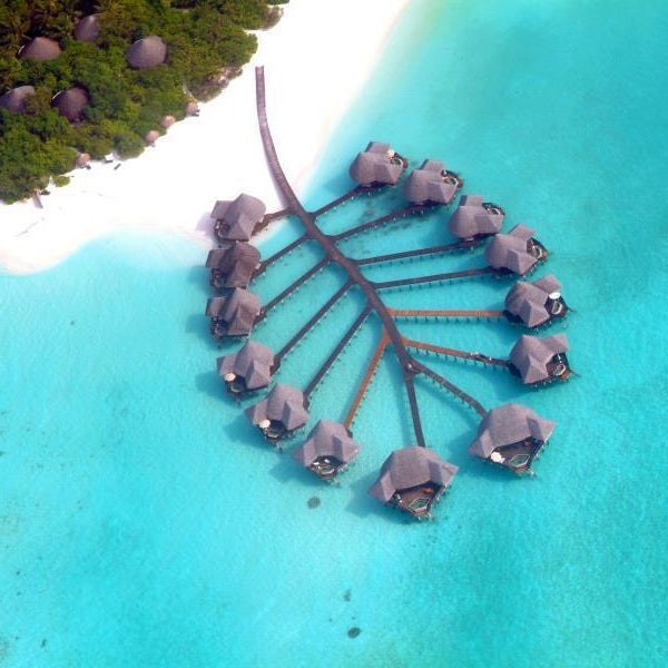 Coco Palm Dhuni Kolhu - 20% discount on return Seaplane transfer for stays from 1 May to 30 Sep 2025 Thumbnail