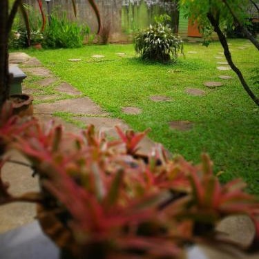 Baan Bua Guest House Thumbnail