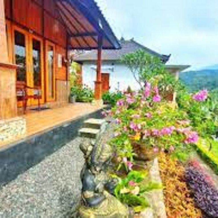 The Green Ponci Bedugul Thumbnail