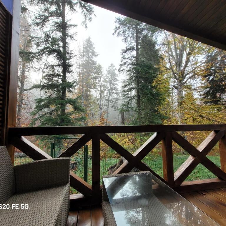 Chalet Amik Thumbnail