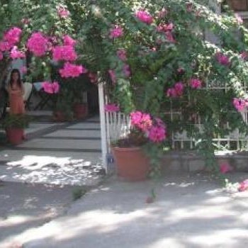 Carikci Hotel