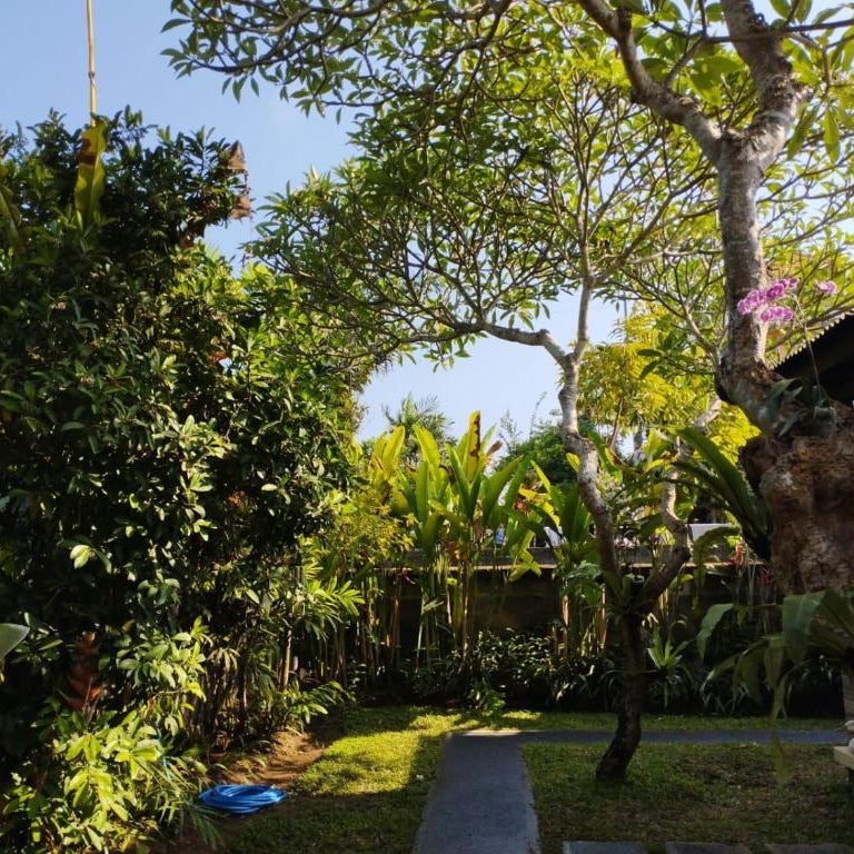 Casa Mesari Thumbnail