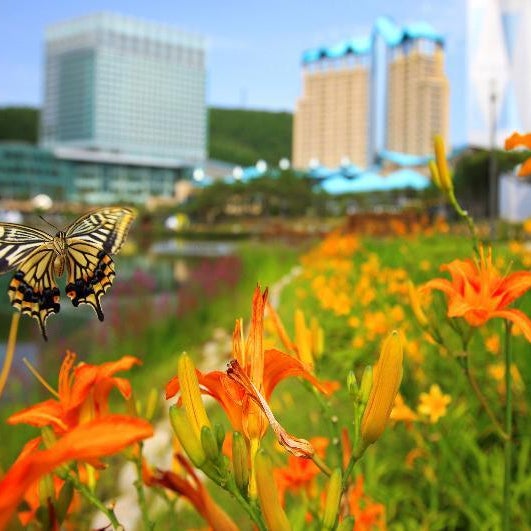 High1 Grand Hotel Main Tower (Kangwonland Hotel)