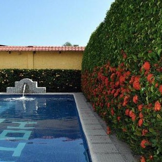 Hotel Los Crestones Thumbnail