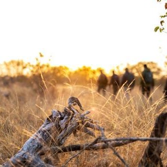 Simbavati Trails Camp