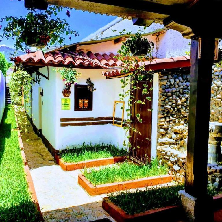 Casa Nikte Thumbnail