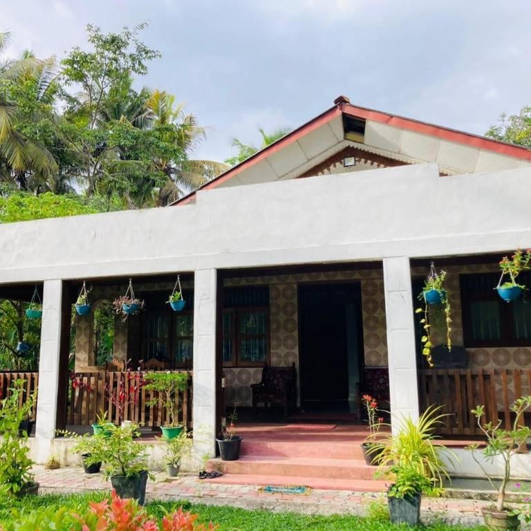 Mangroves homestay Thumbnail
