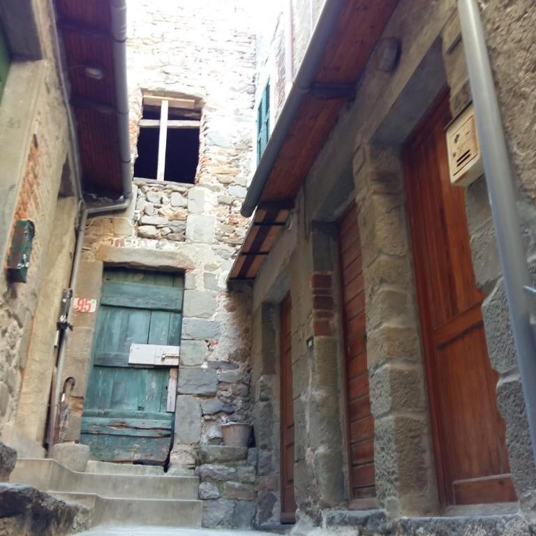 La Ginestra