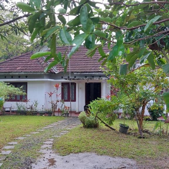Samuu Homestay Mirissa Thumbnail