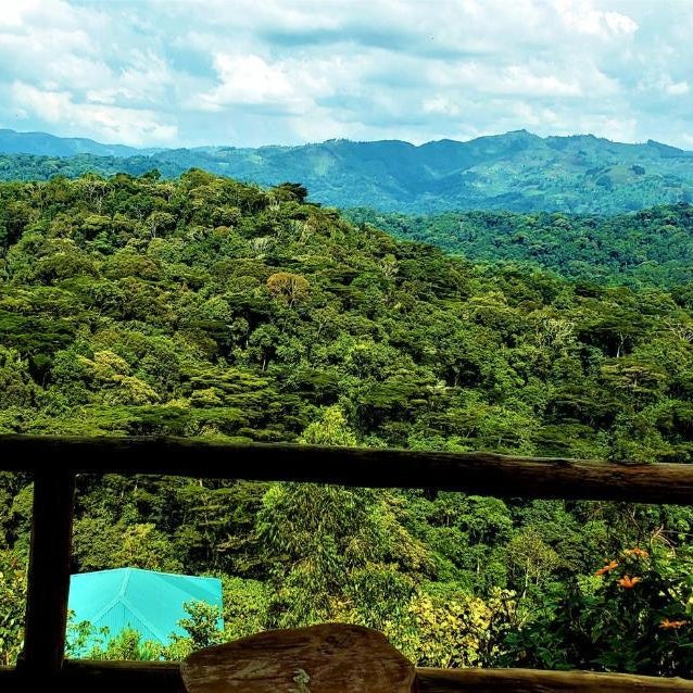 Bwindi Neckview Lodge