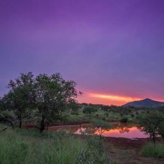 Leopard Mountain Safari Lodge