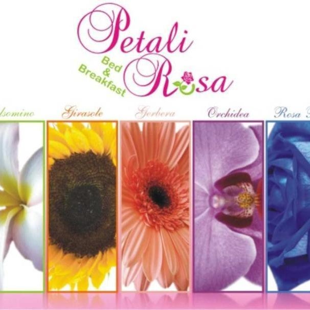 Petali Rosa