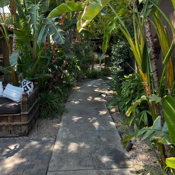 Talavera Palm Springs Thumbnail