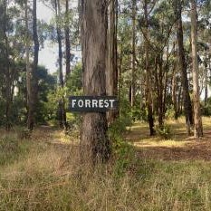 Forrest Holiday Park