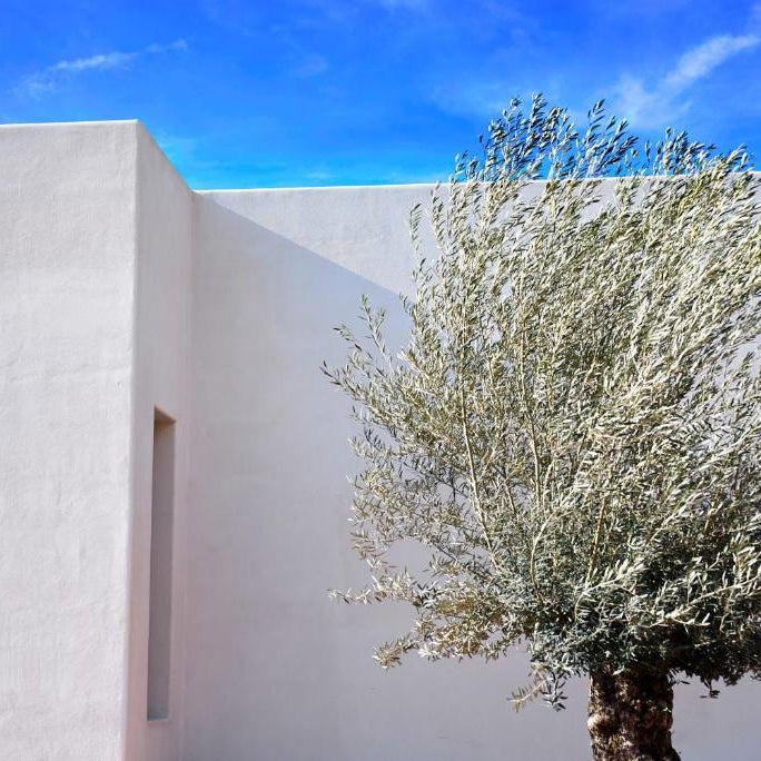 Hotel Boutique Mi AlmaZara