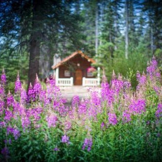 Storm Mountain Lodge & Cabins Thumbnail