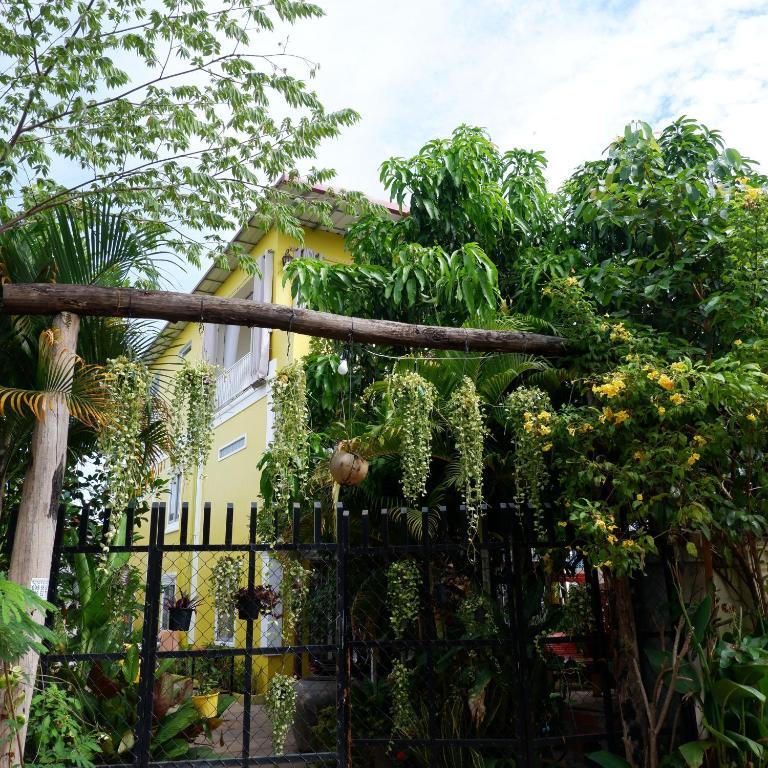 Homestay Yellow Natural House Thumbnail