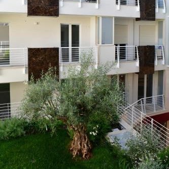 Vilu Suite Centro