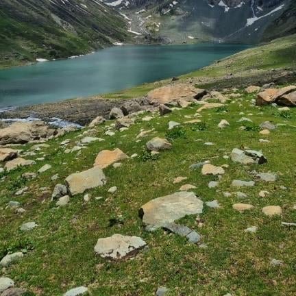 Srinagar hotels and houseboats