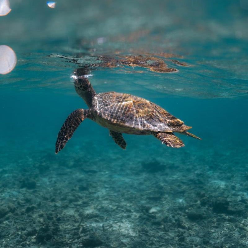 Burulu Inn Thumbnail