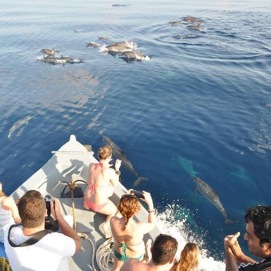 LVIS Blancura Hotel Thumbnail