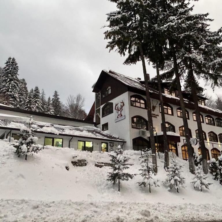 Cerbul Chalét Accommodation & Wellness