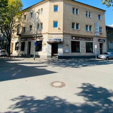 Hotel Montan