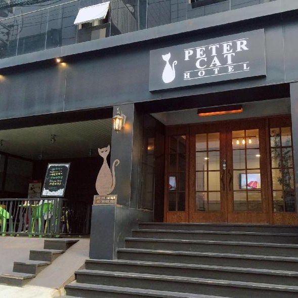 Petercat Hotel Sinchon (Hongdae) Thumbnail