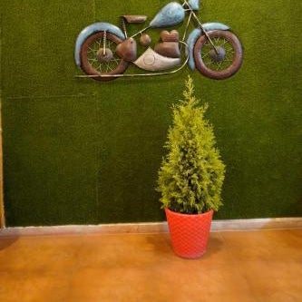 Orange Eye Resort ,Raipur