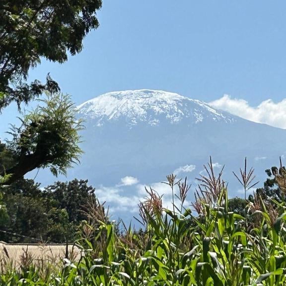 Moshi Tukutane Kilimanjaro View Homestay near KCMC Thumbnail