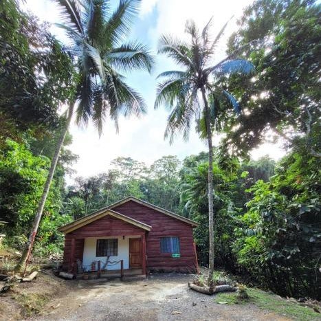 Ecoscape Jamaica - Lavish 1-br cottage by the river Thumbnail