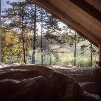 Hilltop Forest Thumbnail
