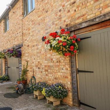 The Mews