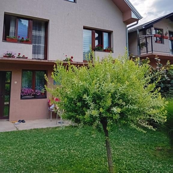 Apartman Anči