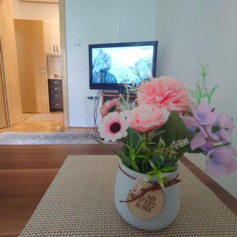 Apartment Centar Thumbnail