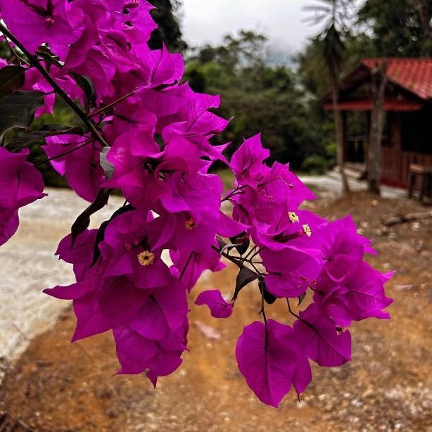 Chalet Brisas Thumbnail